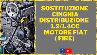 SOSTITUZIONE CINGHIA DISTRIBUZIONE FIAT 1214 [upl. by Winthorpe784]