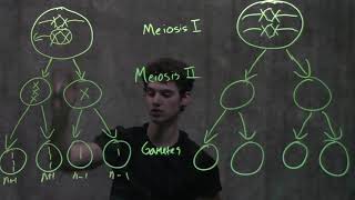 Genetics Nondisjunction amp Meiosis [upl. by Aehsel]