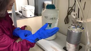 Using a Liquid Nitrogen Trap [upl. by Anitel]