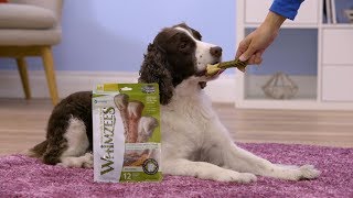 Whimzees Dental Dog Treats  Chewy [upl. by Ervine796]