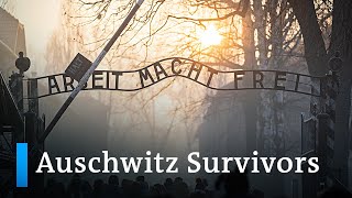 Auschwitz liberation Survivors look back  DW News [upl. by Elocaj]