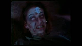 The Evil Dead 1981 Best Scenes Attacked In The Woods [upl. by Lasiaf]