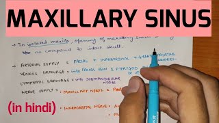 Paranasal Sinuses  2  Maxillary Sinus [upl. by Adilen]