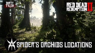 All Spider Orchid Locations Red Dead Redemption 2 RDR2 [upl. by Acinad]