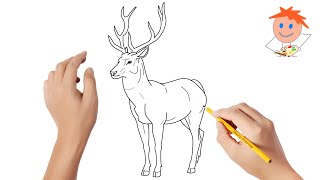 How to draw a deer  Easy drawings [upl. by Harikahs]