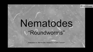 Nematodes 59 Life Cycle [upl. by Kristin]