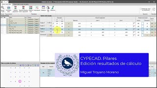 CYPECAD Pilares Edición resultados de cálculo [upl. by Agripina]
