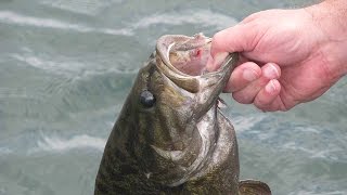 How To Rig Grubs  Bass Fishing [upl. by Kciredec]