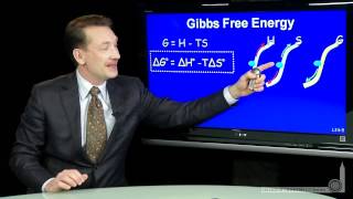 Gibbs Free Energy [upl. by Sawyor]