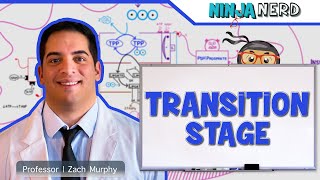 Metabolism  Transition Stage Preparatory Phase [upl. by Nehte]