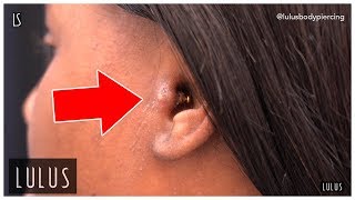 Wow This Tragus Piercing Is BAD [upl. by Mailiw]