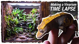 Making a Crested Gecko Vivarium Time Lapse [upl. by Frendel]