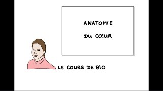 Anatomie du cœur [upl. by Kola]