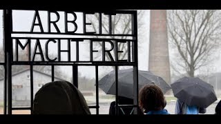 SACHSENHAUSEN AfDGruppe provoziert Besuchsabbruch in KZGedenkstätte [upl. by Hafler]