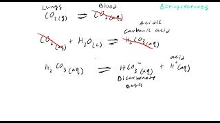 Biochemistry Lecture 3 Physiological Buffers [upl. by Bibby]