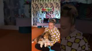 Miley Cyrus singing The Climb to her dog Emu 2020 [upl. by Vance]