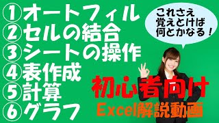 【Excel基本操作】職場で恥をかかない為に最低限覚えておきたいこと [upl. by Aisatsan]