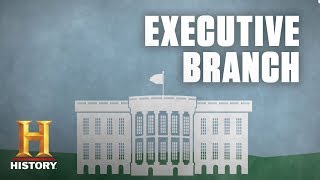 What Is the Executive Branch of the US Government  History [upl. by Zetnom]