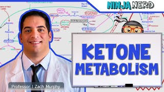 Metabolism  Ketone Metabolism [upl. by Lleroj]