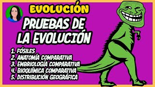 Pruebas científicas de la evolución  Evolución [upl. by Frulla681]