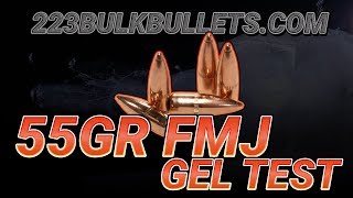 How Good Can a Plain 55gr FMJ Bullet Be [upl. by Aznola723]