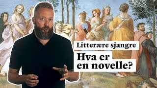 Hva er en novelle [upl. by Ecirahc]