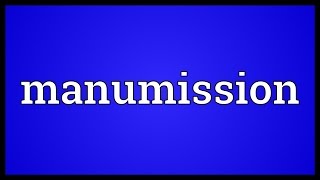 Manumission Meaning [upl. by Sally]