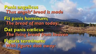 Panis Angelicus Bread of Angels with lyrics [upl. by Ariaet]