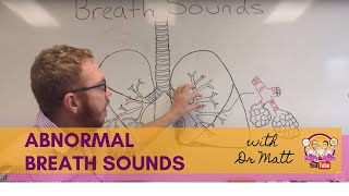 Abnormal Breath Sounds  Respiratory System [upl. by Jahdiel]