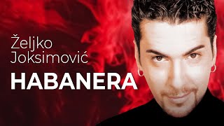 Željko Joksimović  Habanera Official Music Audio 1999 [upl. by Aenil]