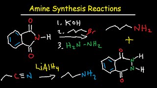 Amine Synthesis Reactions Organic Chemistry  Summary amp Practice Problems [upl. by Candida]