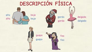 Aprender español Vocabulario descripción física nivel básico [upl. by Ahsinac]