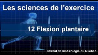 12 Flexion plantaire [upl. by Suiluj]