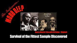 Mobb Deep  Survival of the Fittest sample discovered [upl. by Icrad136]