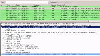 Sample IPv4 Headers in Wireshark [upl. by Murat]