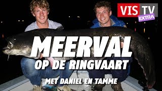 VIS TV Extra 47  Meerval [upl. by Dnalyr332]