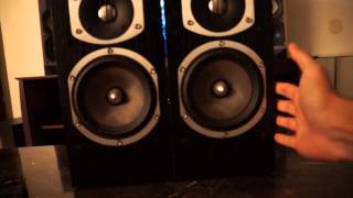 Paradigm Reference Studio 40 v2 Speakers amp Martin Logan Subwoofer Demo Display [upl. by Vudimir292]