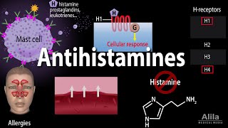 Histamine and Antihistamines Pharmacology Animation [upl. by Ayiram]