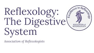 Reflexology The Digestive System [upl. by Warfold520]