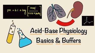 Acid Base Physiology  Part One  Basics  Buffers  Renal Physiology [upl. by Pettiford592]