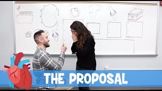 Ninja Nerd Science  The Proposal [upl. by Esile]