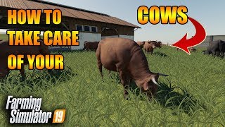 How to Cows A Guide to 100 Productivity  How to FS19  Tutorial  Farming Simulator 19 [upl. by Igig461]