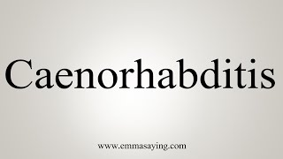 How To Say Caenorhabditis [upl. by Rhona4]