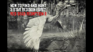 Red Dead Redemption 2 Perfect Reddish Egret Hunting Guide [upl. by Heida343]