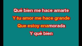 THALIA ESTOY ENAMORADO KARAOKE [upl. by Adelaida]