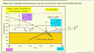 VLLE for Immiscible Liquids [upl. by Lainad]