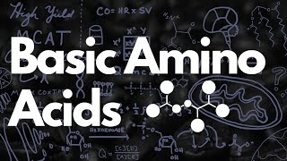 Basic Amino Acids MCAT  Histidine Tautomerization  MCAT [upl. by Arocal612]