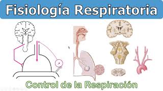 🎈 RESPIRACIÓN DIAFRAGMÁTICA  Relajación GUIADA [upl. by Keelin29]