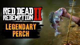 Red Dead Redemption 2 Legendary Fish  Legendary Perch [upl. by Alamap629]