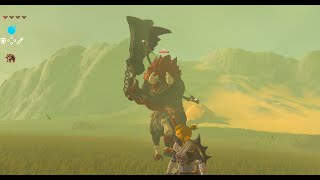 【ゼルダの伝説 ブレス オブ ザ ワイルド】 ライネル オマエ タオス [upl. by Kcir690]